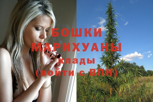 крисы Бронницы