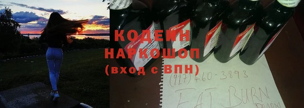 крисы Бронницы