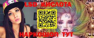 крисы Севастополь