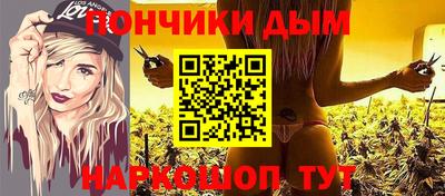 крисы Севастополь