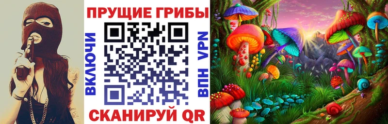Псилоцибиновые грибы GOLDEN TEACHER  Среднеуральск 