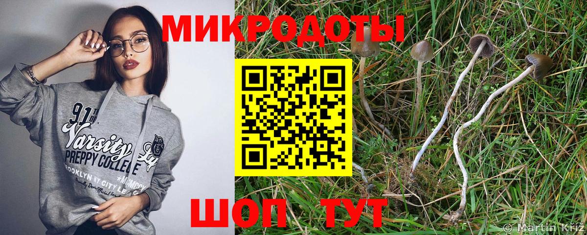 Среднеуральск  Псилоцибиновые грибы MAGIC MUSHROOMS  Псилоцибиновые грибы прущие грибы  продажа наркотиков  Вход с VPN 